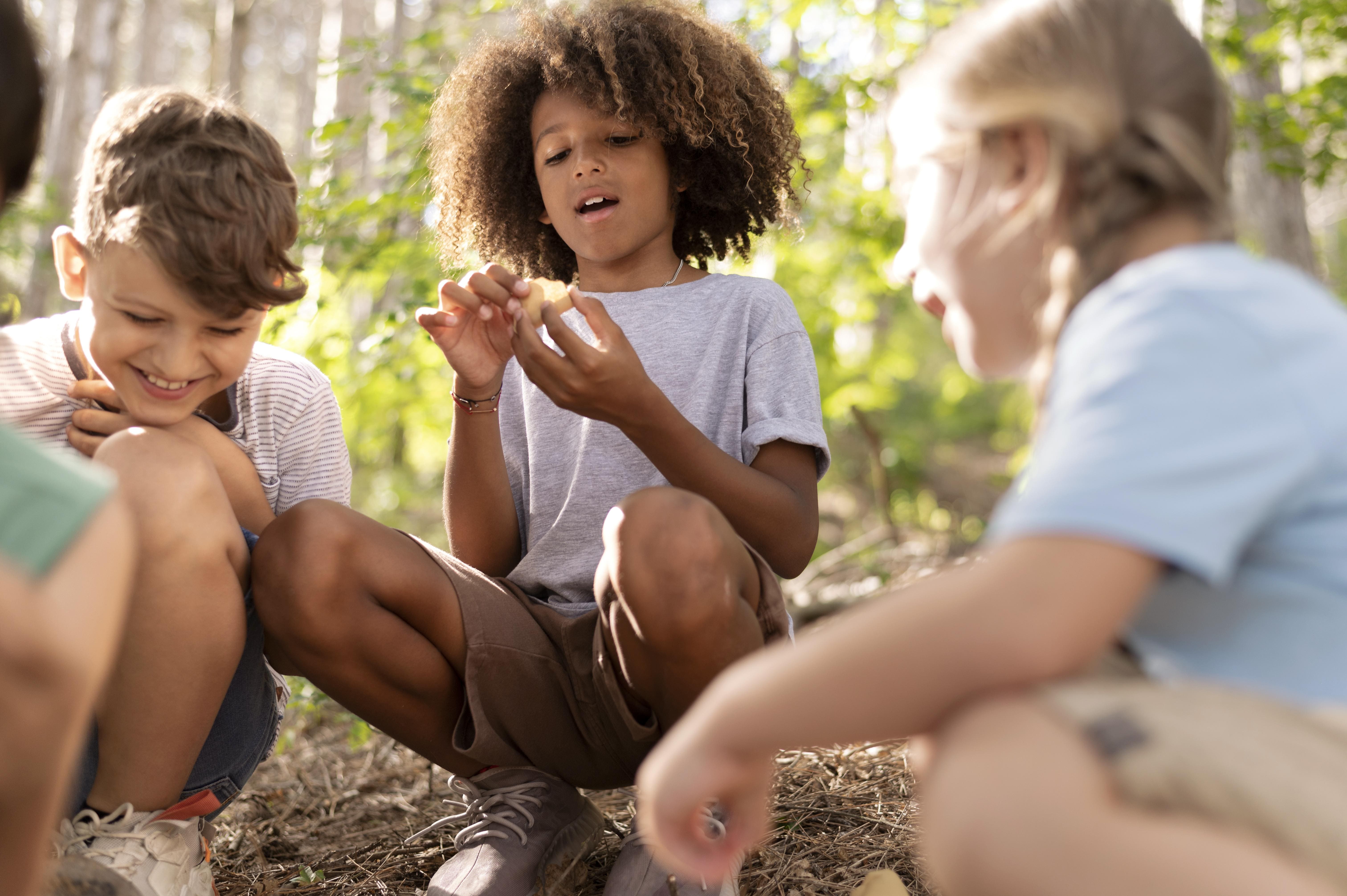 Programmes des mercredis de novembre à décembre 2025